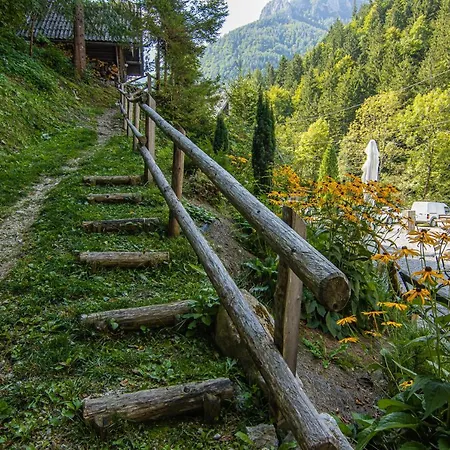 Boutique Pri Rogovilcu בית הארחה