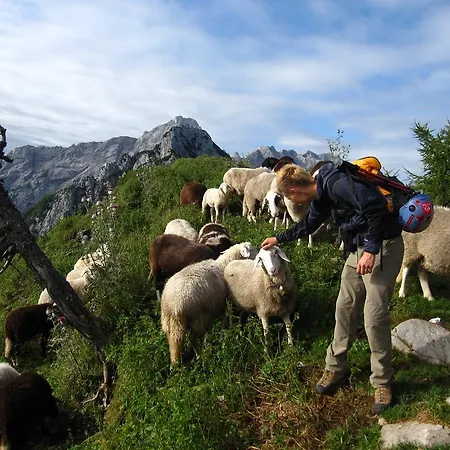 Boutique Pri Rogovilcu 3*