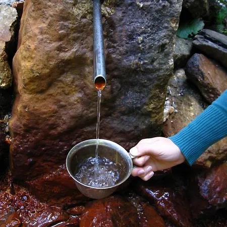 Boutique Pri Rogovilcu בית הארחה סולצאבה