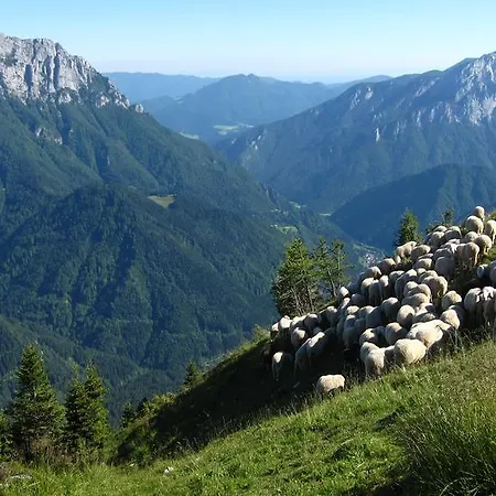 Boutique Pri Rogovilcu בית הארחה