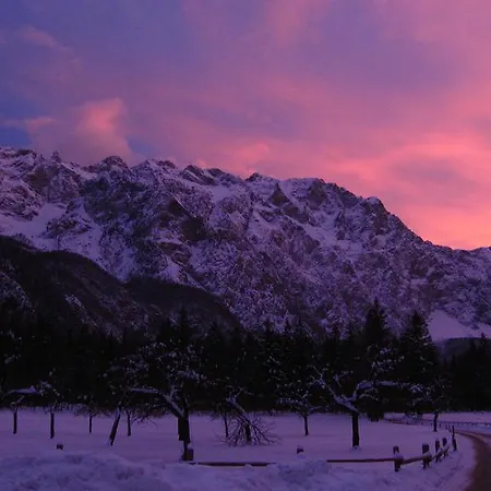 בית הארחה Boutique Pri Rogovilcu