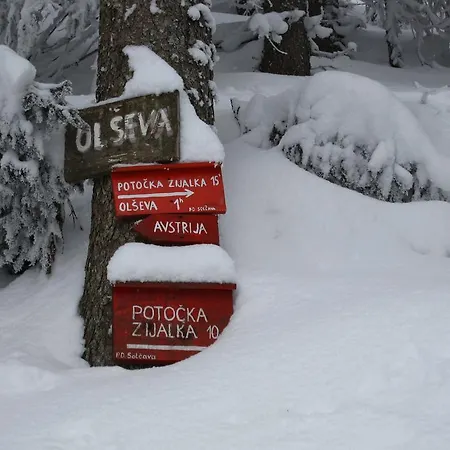 Boutique Pri Rogovilcu Guest house Solcava