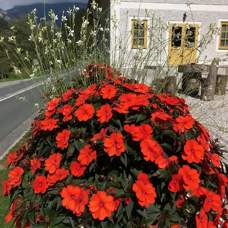 Boutique Pri Rogovilcu Solcava