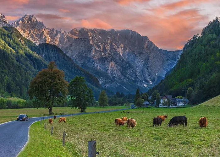 Boutique Pri Rogovilcu 3* סולצאבה