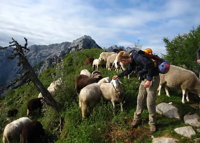 Boutique Pri Rogovilcu 3*
