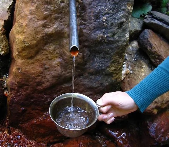 Boutique Pri Rogovilcu Vendégház Solčava