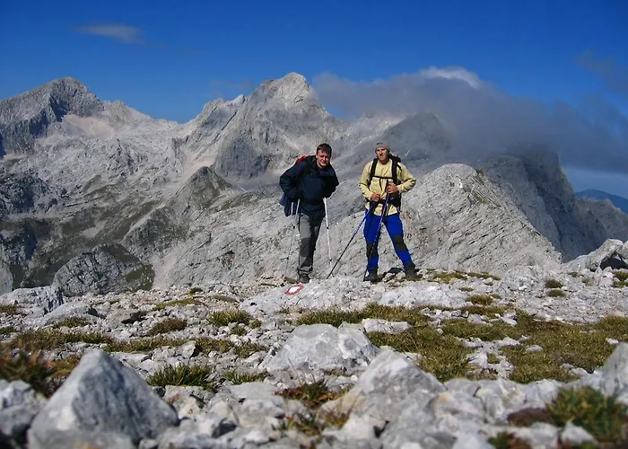 Boutique Pri Rogovilcu בית הארחה