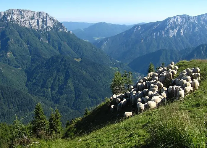 Boutique Pri Rogovilcu Vendégház