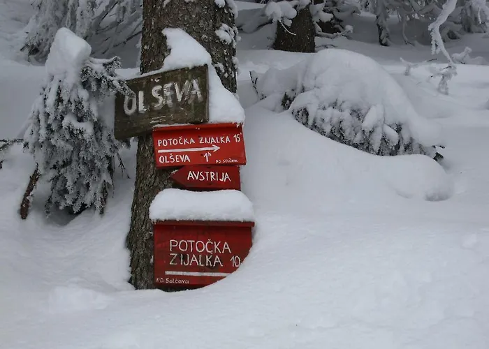 Boutique Pri Rogovilcu Vendégház Solčava