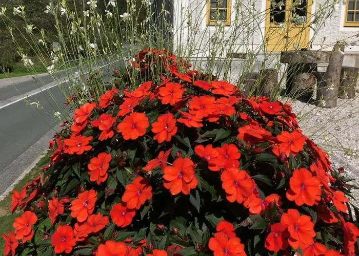 Boutique Pri Rogovilcu סולצאבה